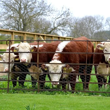 Luxury Old Stone Cottage, Beautifully Presented Nyaraló *