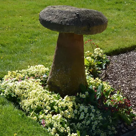 度假居 Luxury Old Stone Cottage, Beautifully Presented *