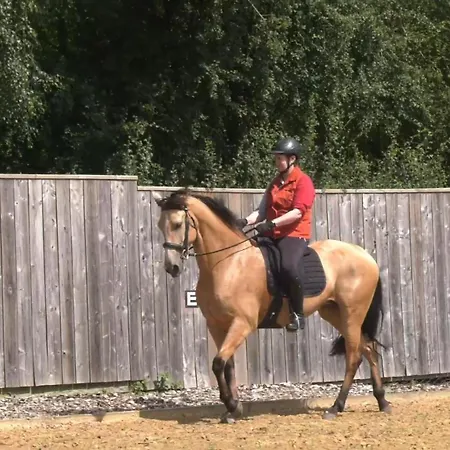 Luxury Old Stone Cottage, Beautifully Presented
