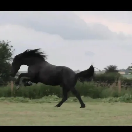 度假居 Luxury Old Stone Cottage, Beautifully Presented *