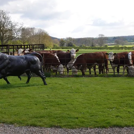 Luxury Old Stone Cottage, Beautifully Presented