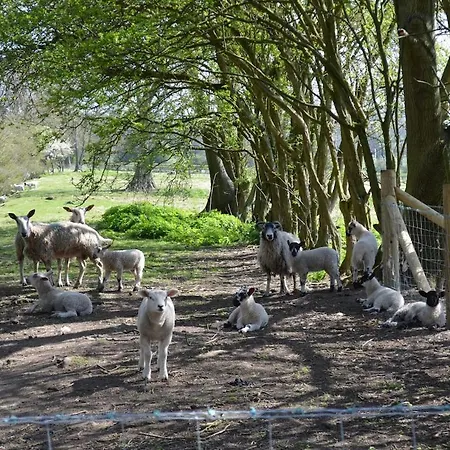 Tatil Evi Luxury Old Stone Cottage, Beautifully Presented *